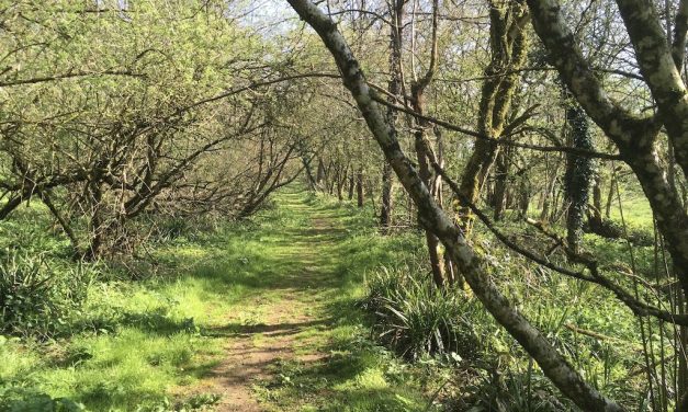 Batcombe: the long way round